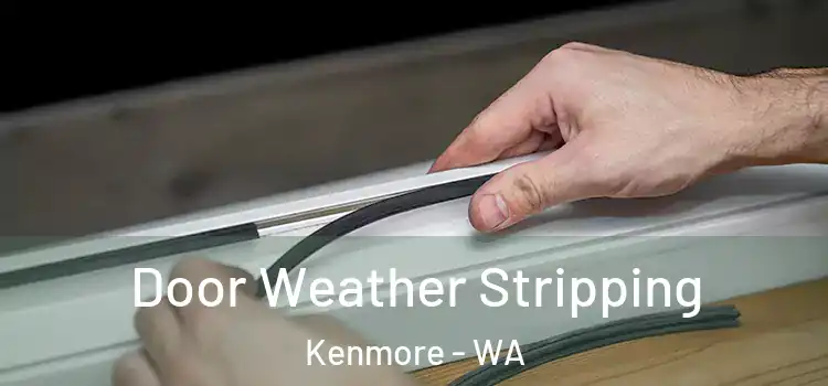 Door Weather Stripping Kenmore - WA