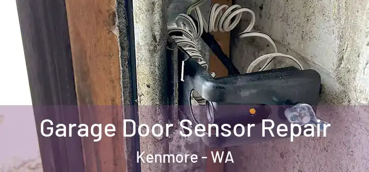 Garage Door Sensor Repair Kenmore - WA