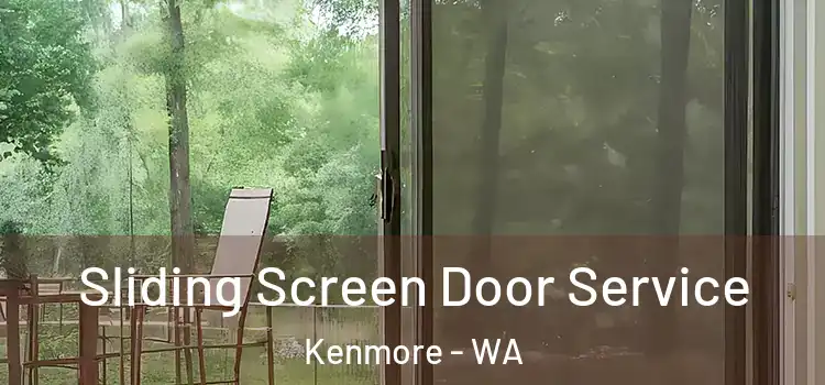 Sliding Screen Door Service Kenmore - WA
